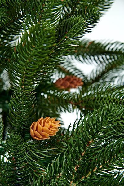 Елка искусственная Christmas Soul &laquo;Рождественская с шишками&raquo; (литая, высота 1,8 м) 768178311811 фото